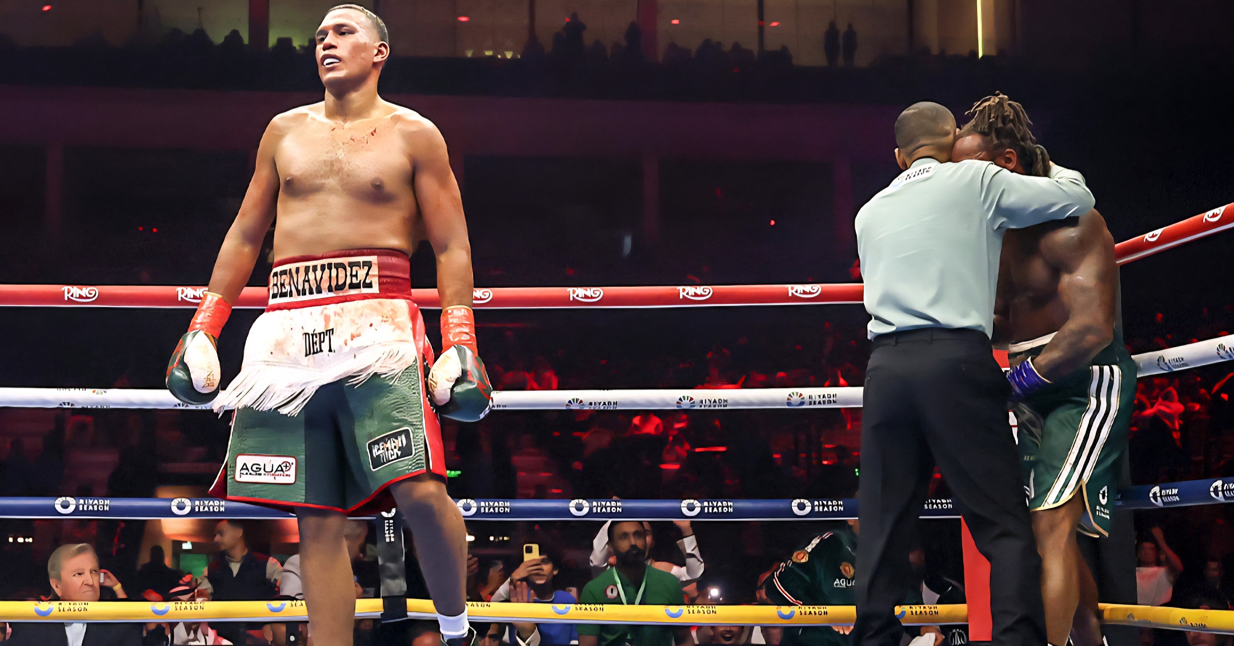 Picture for Ring IV Review