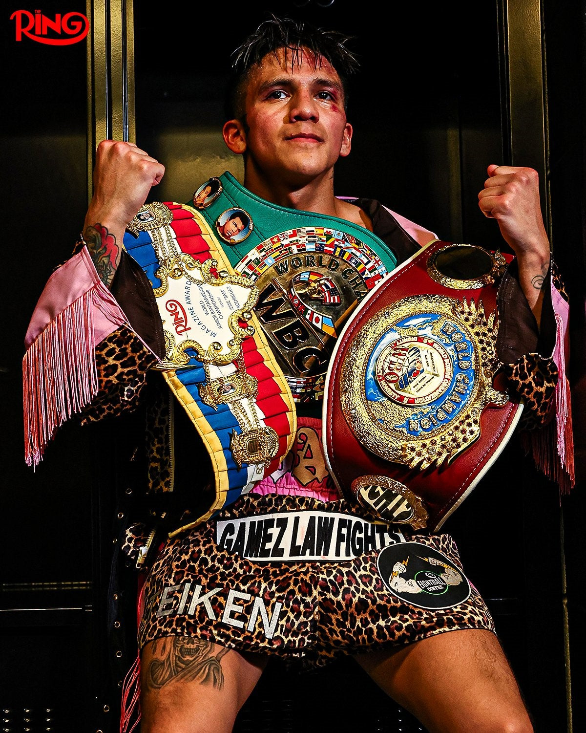 Picture for Past and Current Greatness on Display