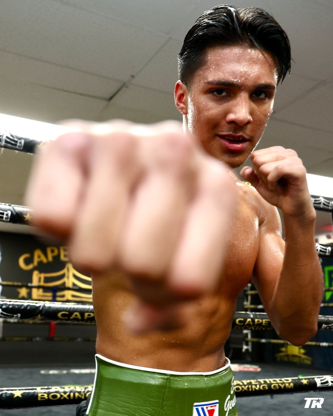 Picture for Vargas On the Verge