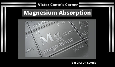 Picture for Magnesium Absorption